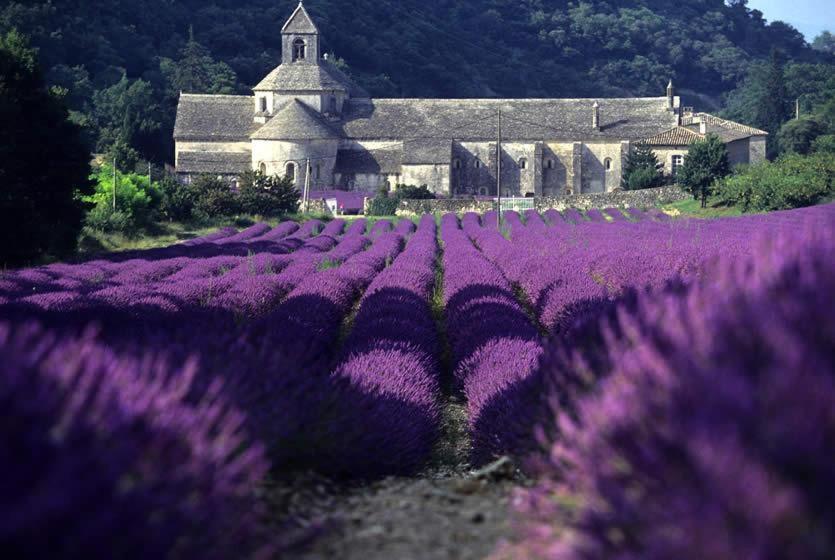 Gite Hanna En Luberon - Le Boisset De St Martin De Castillon Saint-Martin-de-Castillon Luaran gambar